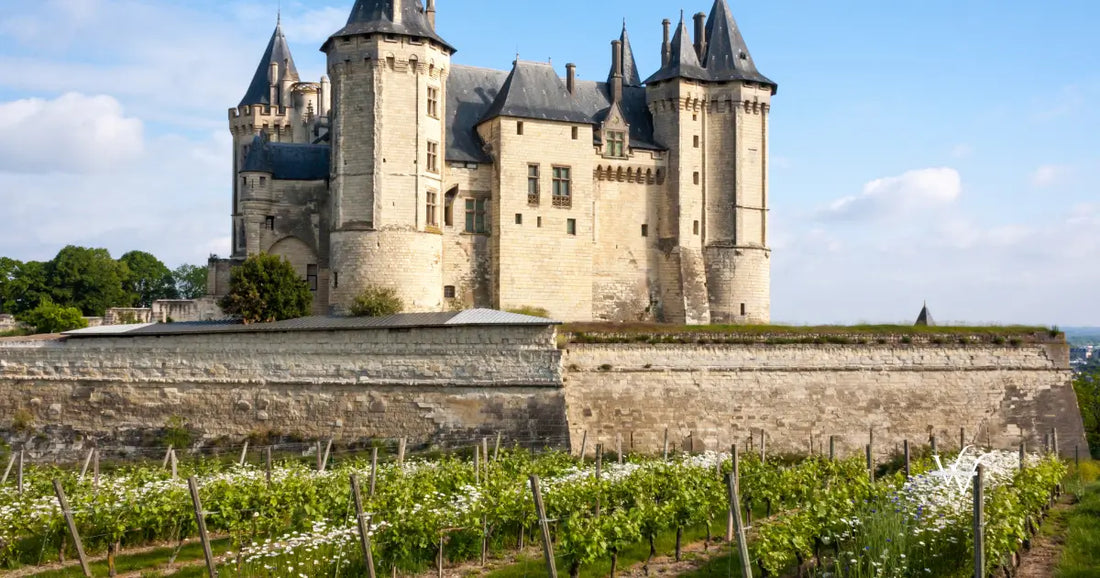 10th century chateau de saumur maine-et-loire france
