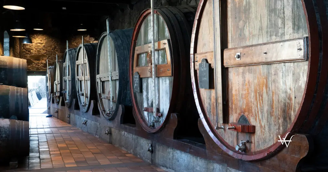 barrels in wine cellar