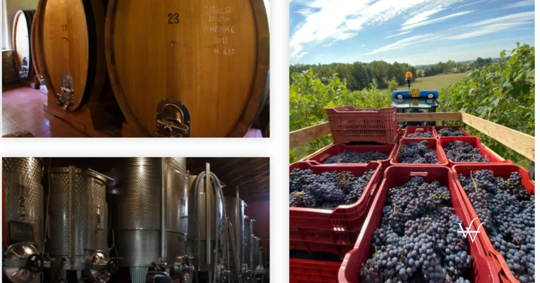 ca noca winery piedmont italy