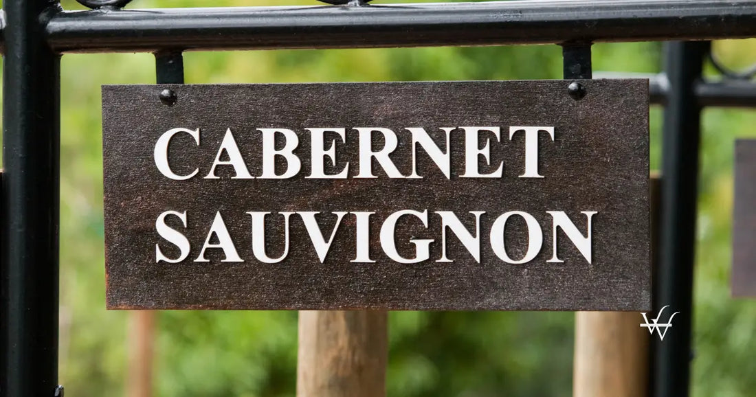 cabernet sauvignon