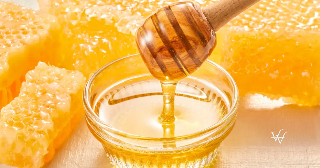 golden honey with honeycomb and dipper