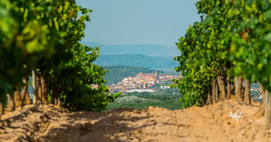 la rioja spain