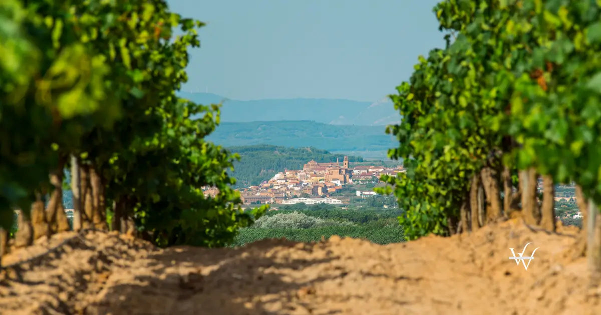 la rioja spain