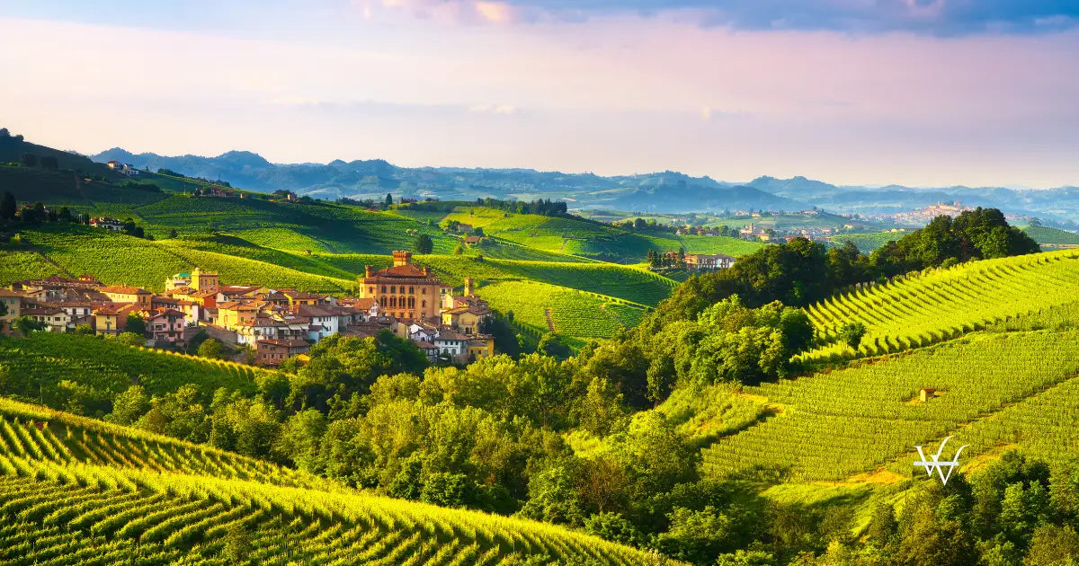 langhe-vineyards-panorama-barolo-village-piedmont-italy-europe