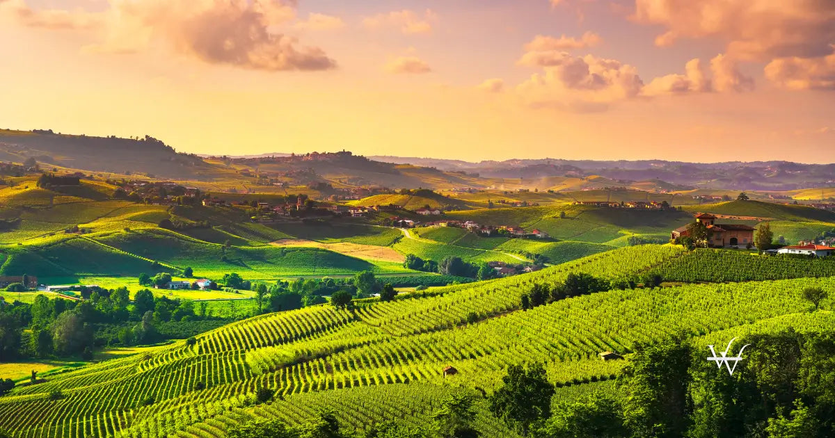 langhe vineyards sunset panorama barolo piedmont italy europe