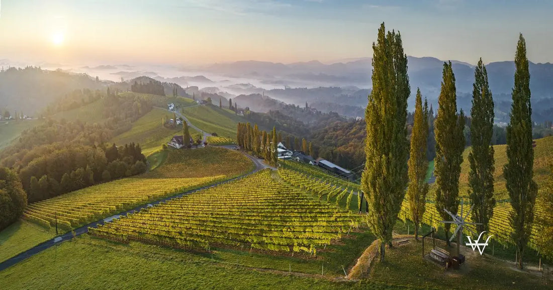 lubekogel sudsteiermark steiermark austrian wine wsna