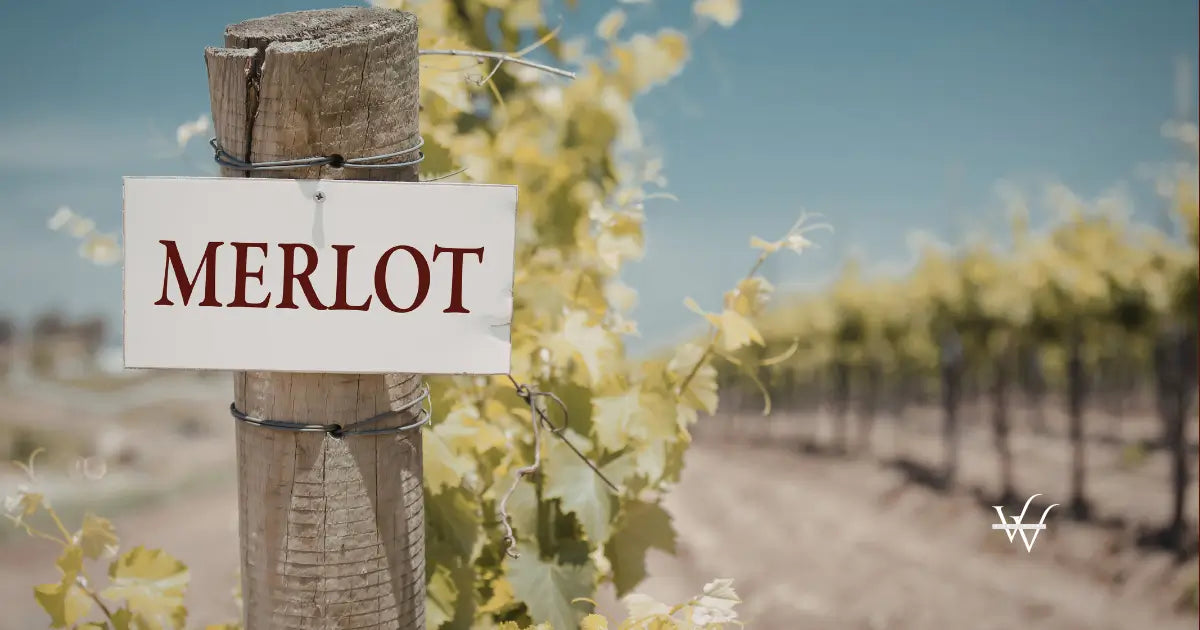 merlot-vineyard-sign