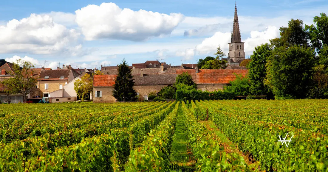 meursault burgundy wine region