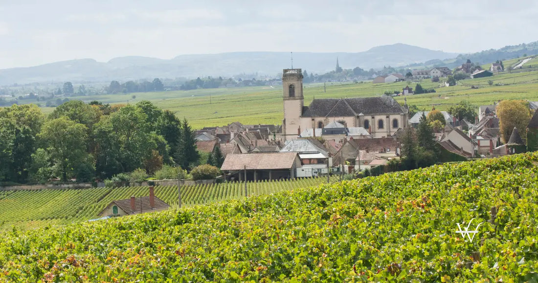 pomerol french vineyards