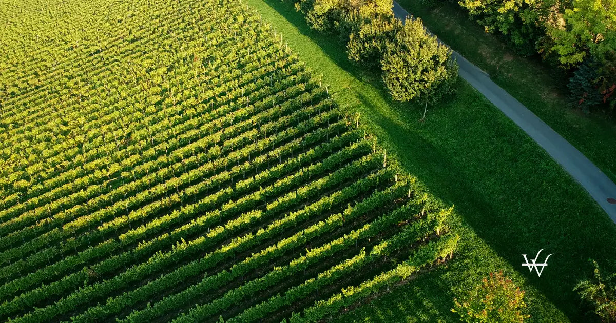 steiermark