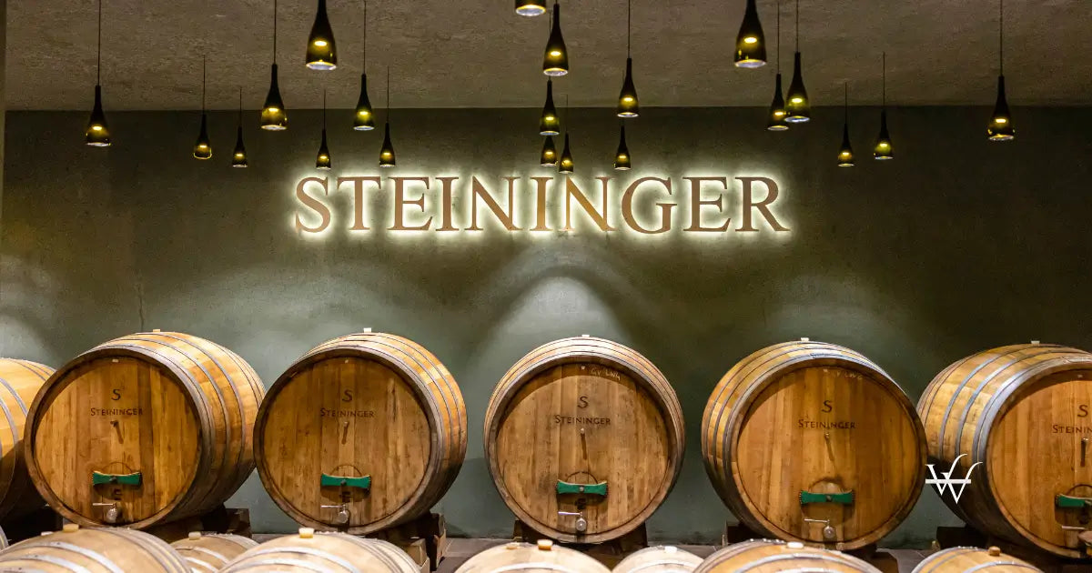 steininger cellar wine barrels
