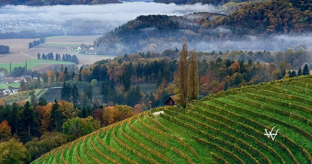 stunning autumn vineyards in kogelberg austria
