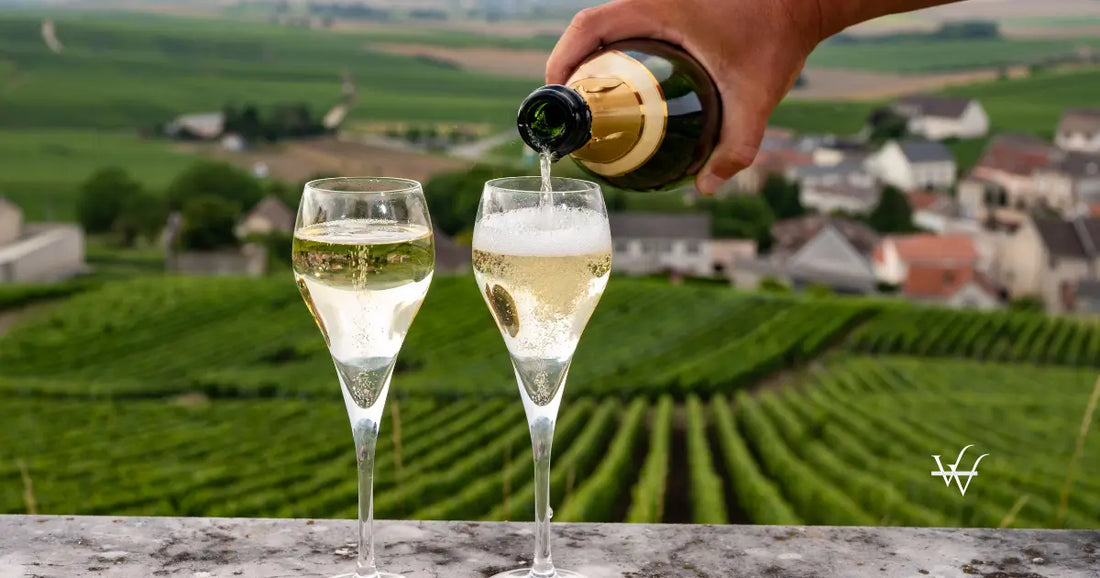 tasting-of-brut-and-demi-sec-white-champagne-sparkling-wine-from-special-flute-glasses-with-champagne-vineyards-on-background-near-cramant-france