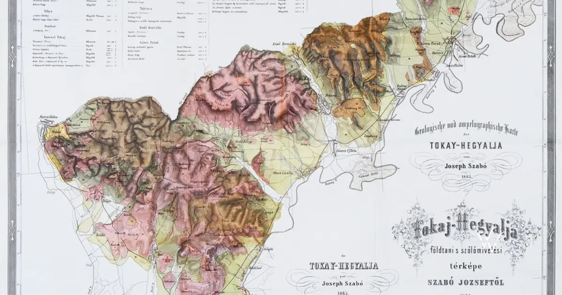 tokaj wine region