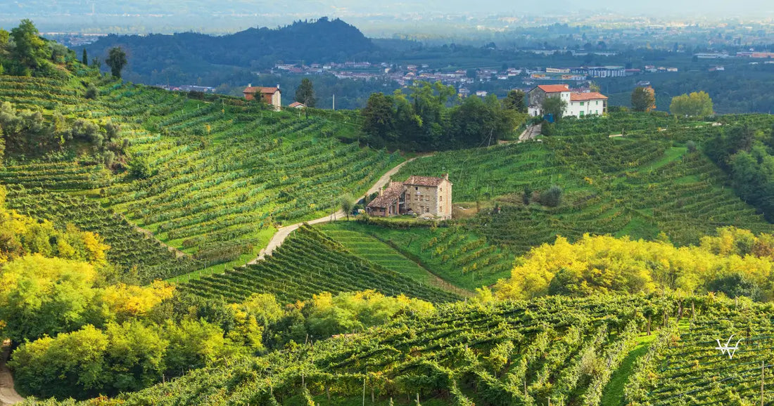 valdobbiadene-prosecco-hills-in-autumn