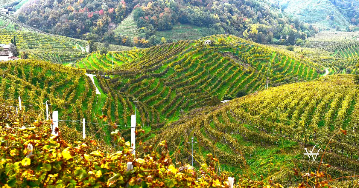 valdobbiadene veneto italy