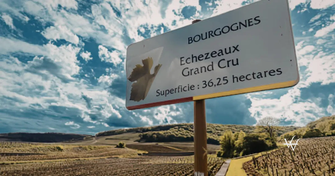 vineyard-landscape-with-a-sign-indicating-echezeaux-grand-cru