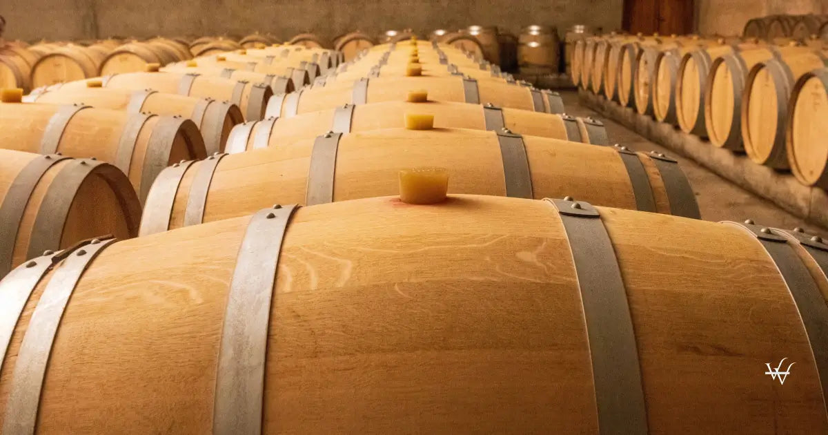 wine barrels cellar