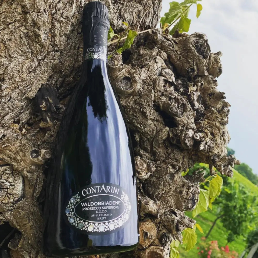 contarini valdobbiadene prosecco docg brut