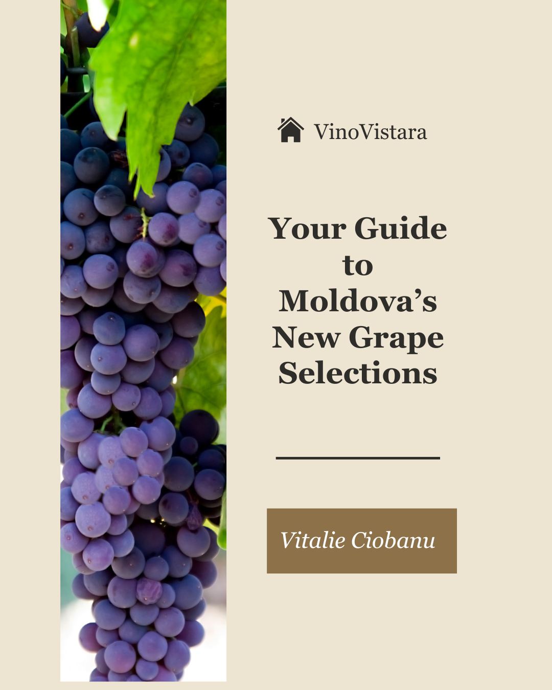 eBook-moldova-s-new-grape-selections