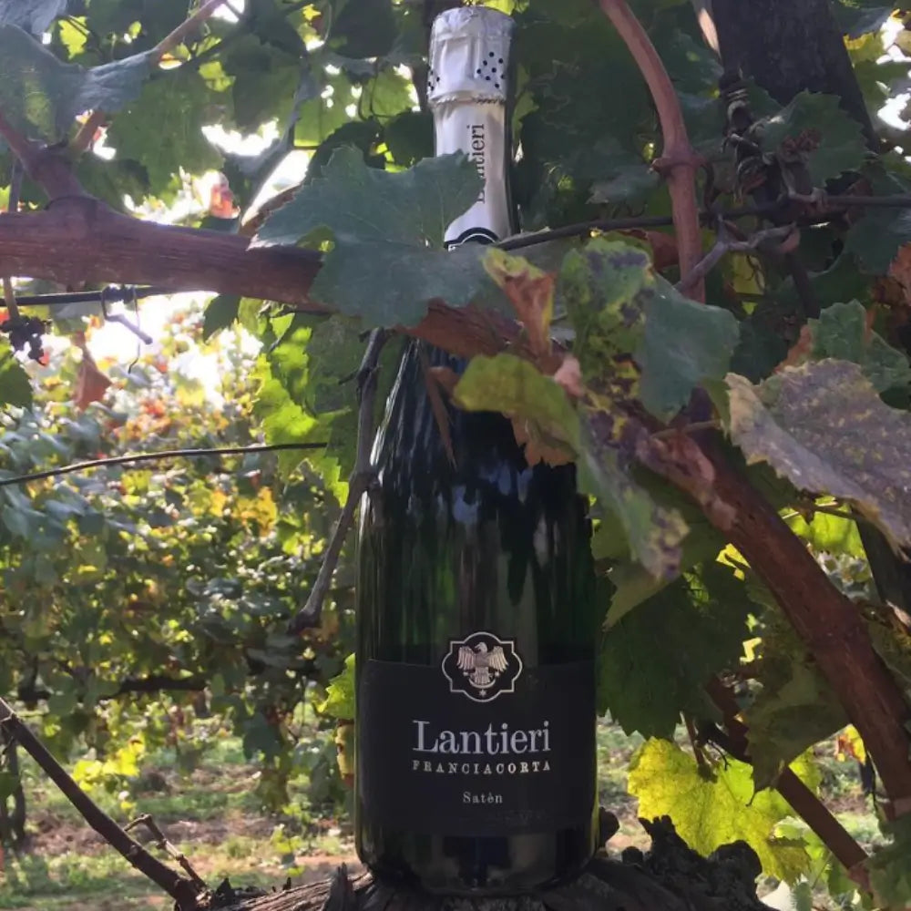 lantieri franciacorta saten