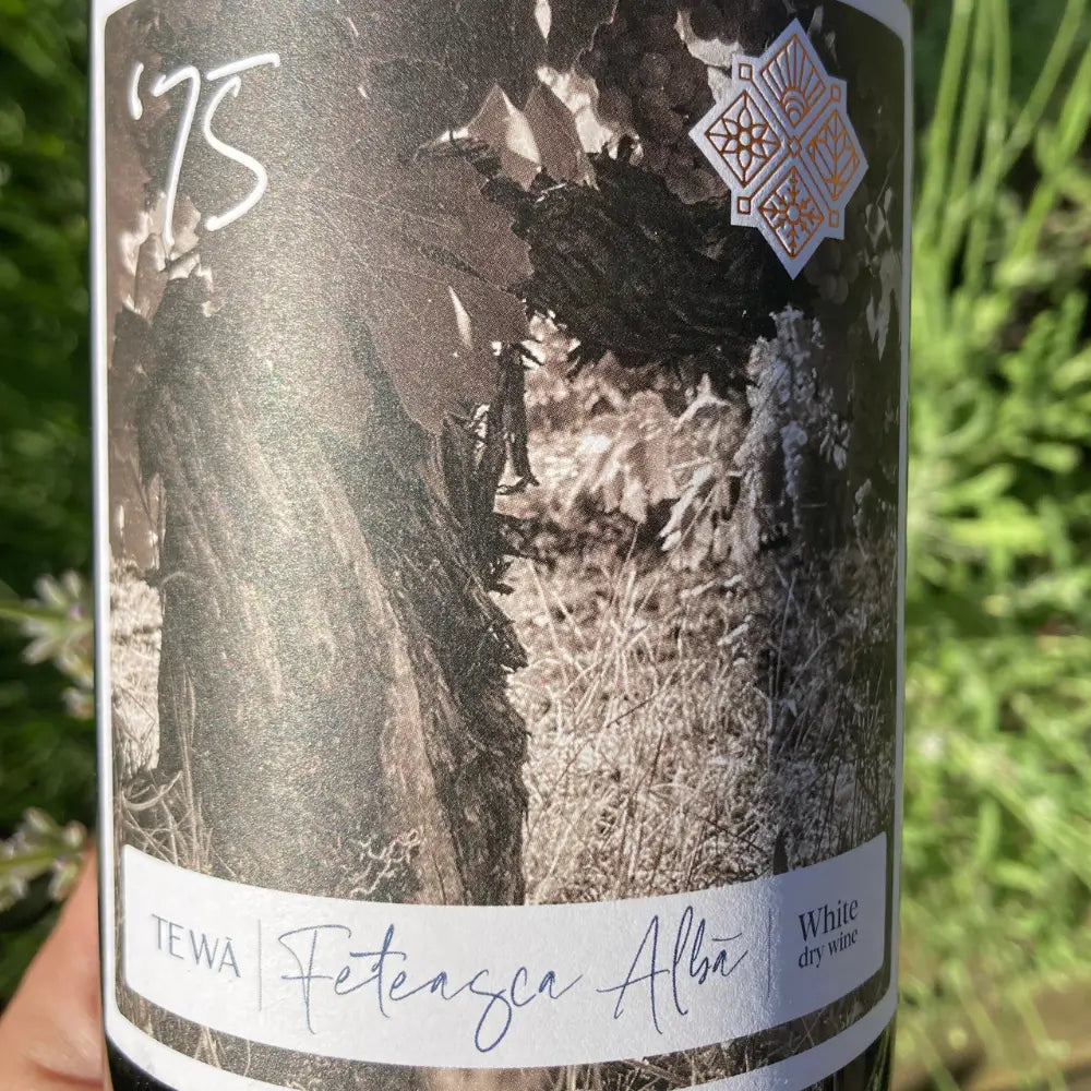 tewa feteasca alba