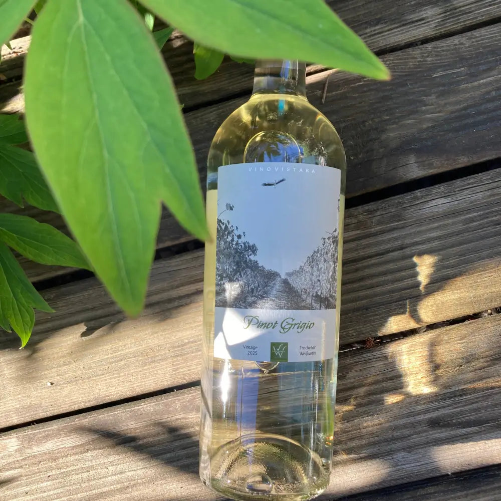 vinovistara pinot grigio lifestyle